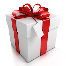 Holiday Gift Guide