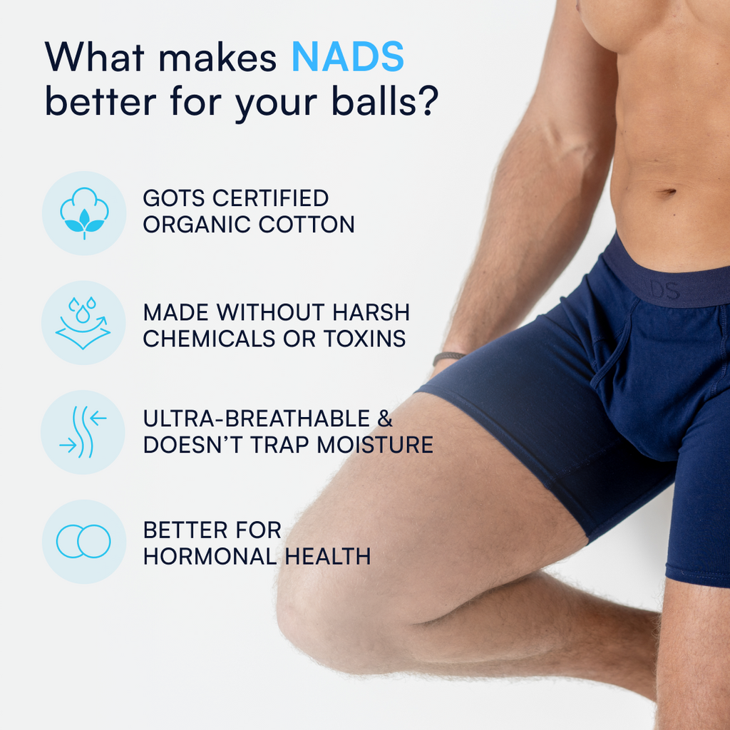 The Organic Cotton Boxer Brief