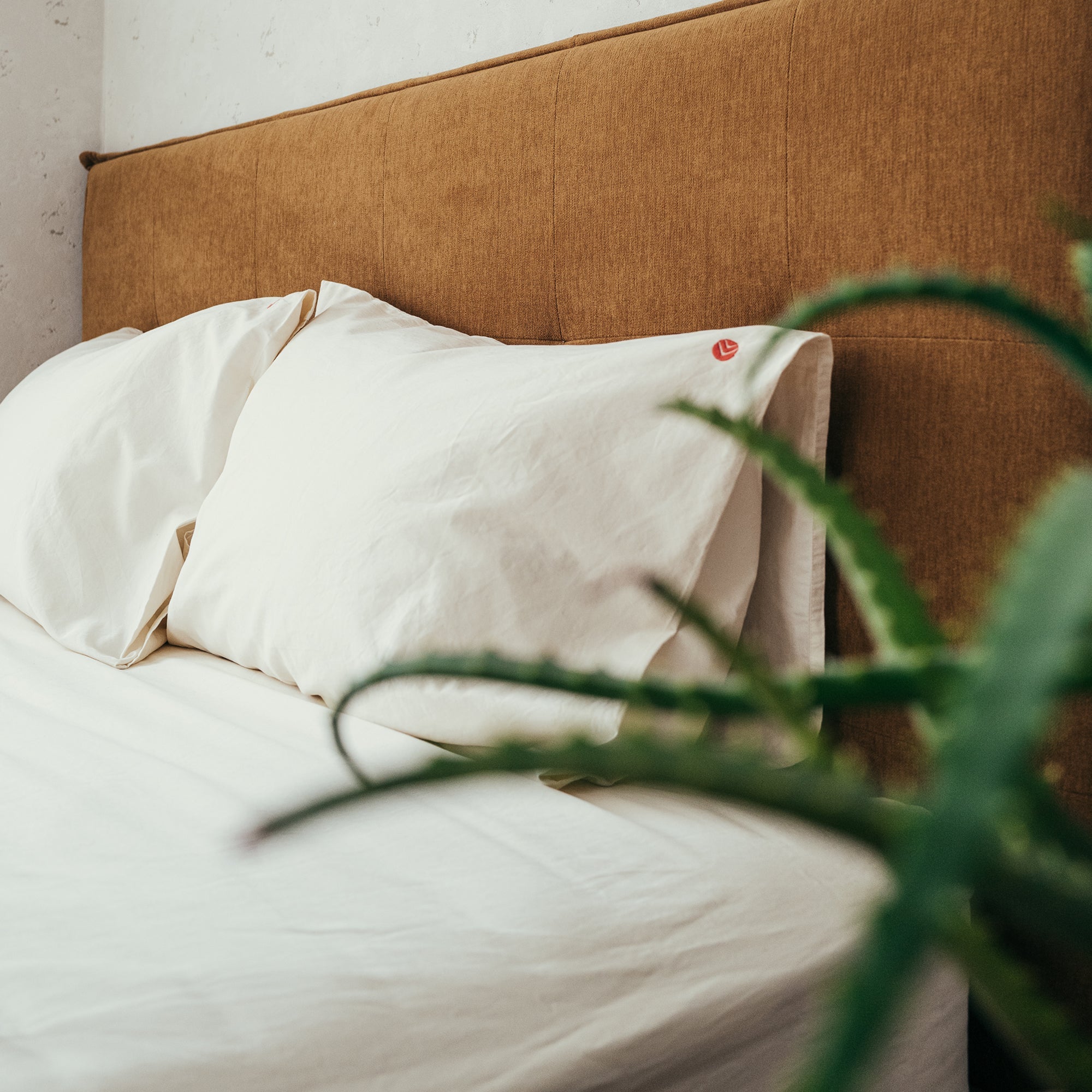 Organic Sheet Set